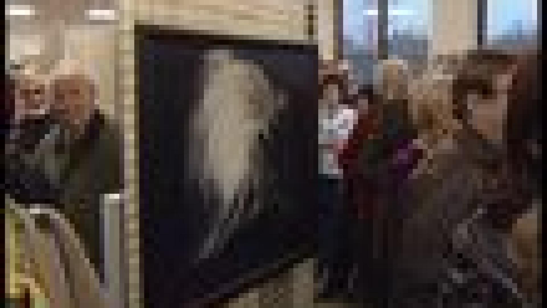 Les artistes de Sainte Walburge exposent